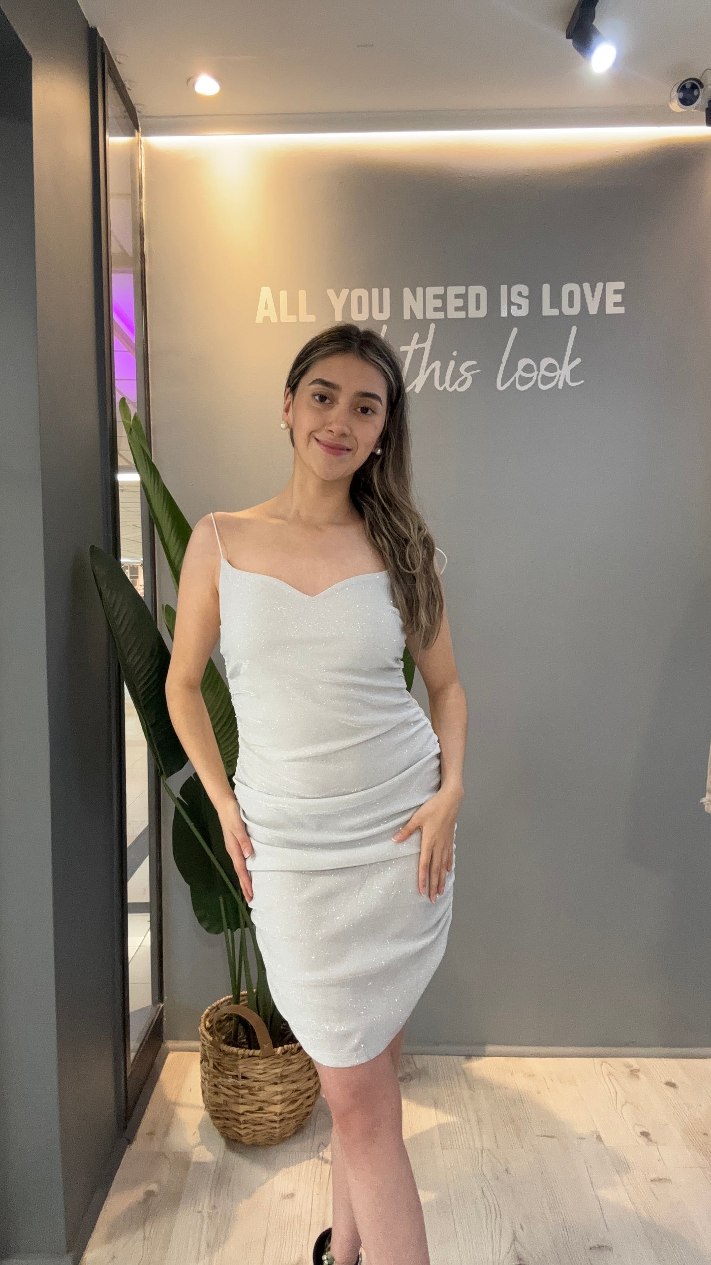 VESTIDO PLATEADO