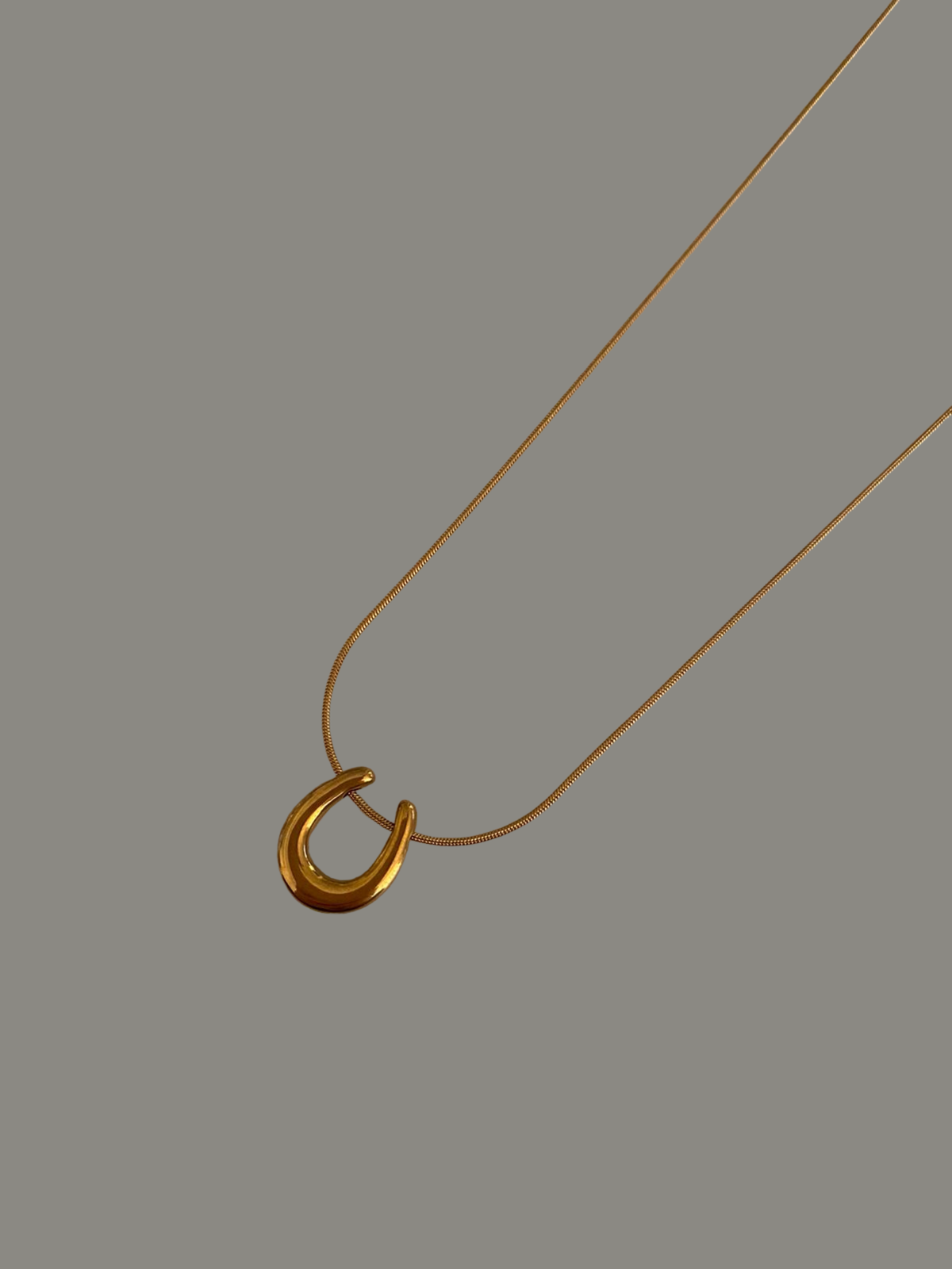 COLLAR HERRADURA