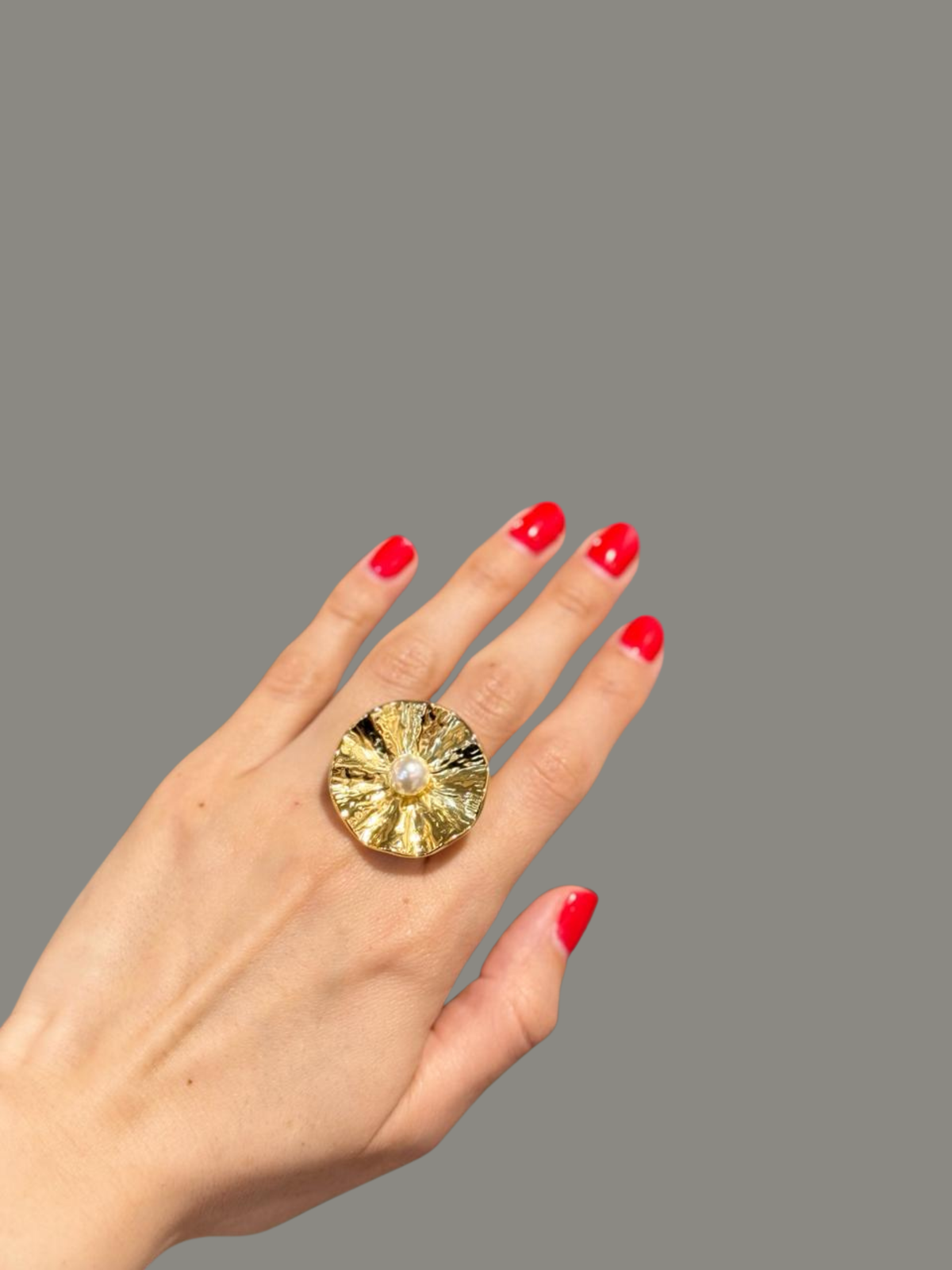 ANILLO LISA