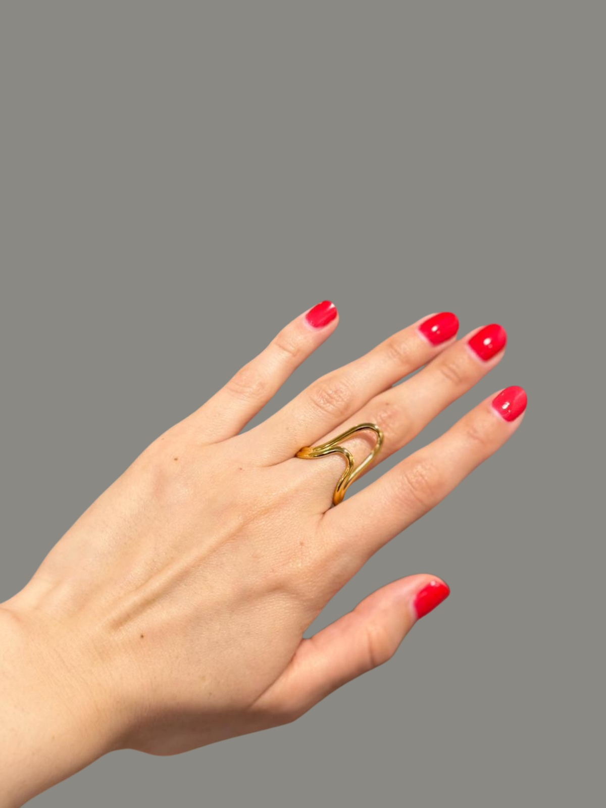 ANILLO TAMI