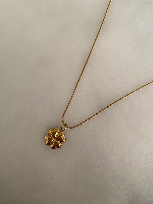 COLLAR LUCK