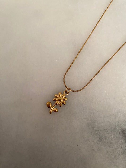 COLLAR GIRASOL