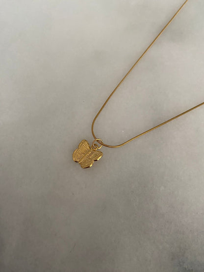 COLLAR MARIPOSA
