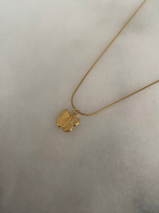 COLLAR MARIPOSA