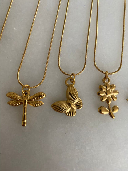 COLLARES