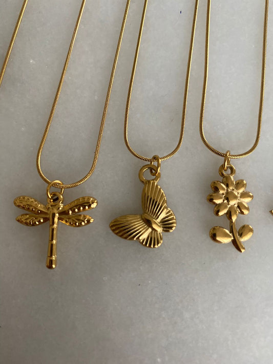 COLLARES
